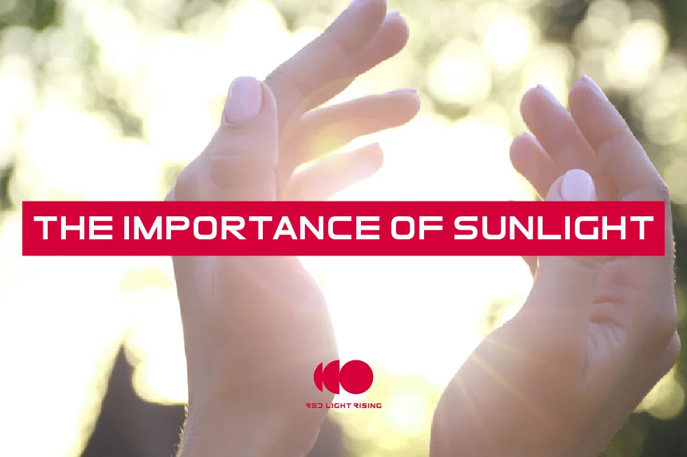 The Importance Of Sunlight